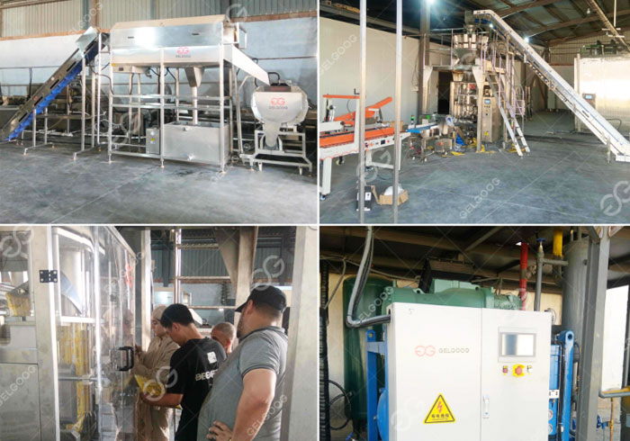 Algeria French Fries Production Line